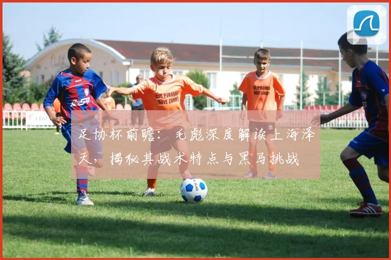 足协杯前瞻:毛彪深度解读上海泽天,揭秘其战术特点与黑马挑战