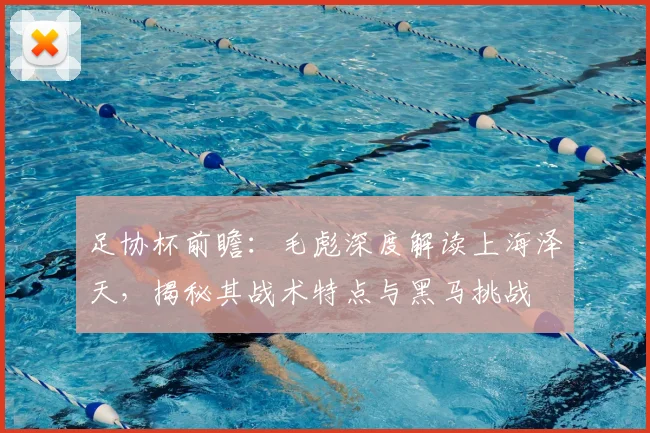 足协杯前瞻:毛彪深度解读上海泽天,揭秘其战术特点与黑马挑战